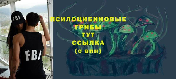 молекула духа Алексеевка