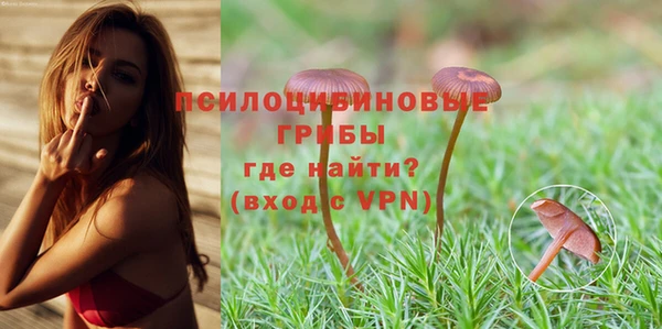 apvp Алексин