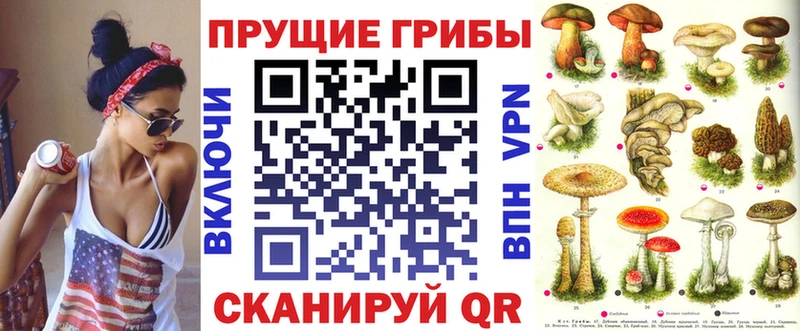 Псилоцибиновые грибы Psilocybe Карабаш