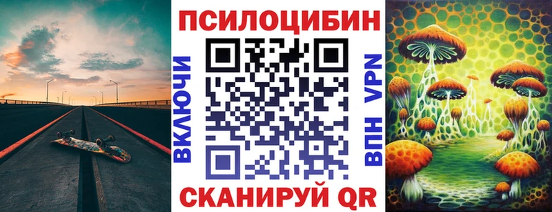 Псилоцибиновые грибы Psilocybine cubensis  магазин    Карабаш 